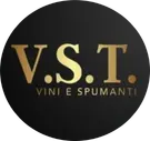 Logo-VST