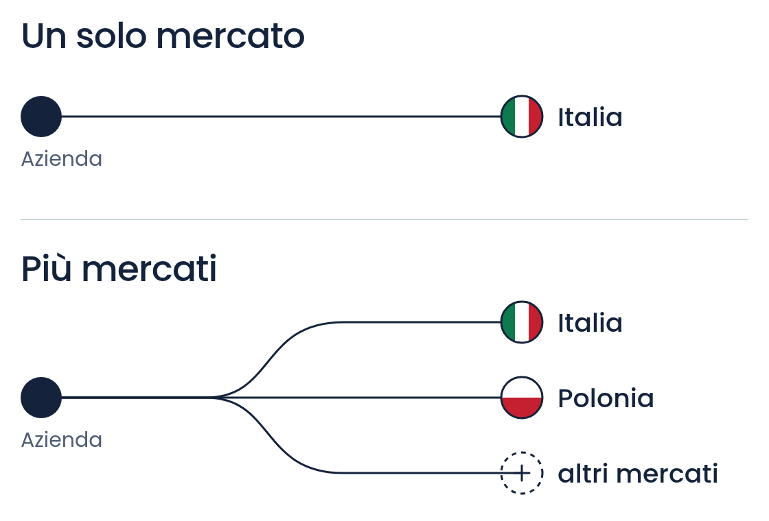 Schema: un’azienda che vende su un solo mercato a confronto con un’azienda presente su più mercati.